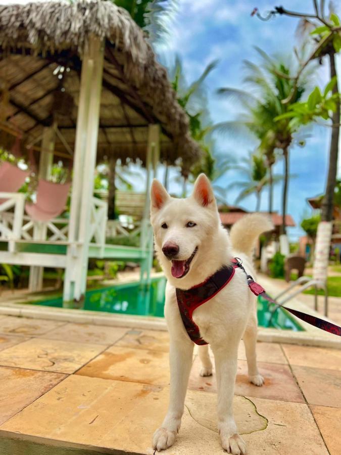 Ville Sweet Home Canoa Quebrada Exterior foto